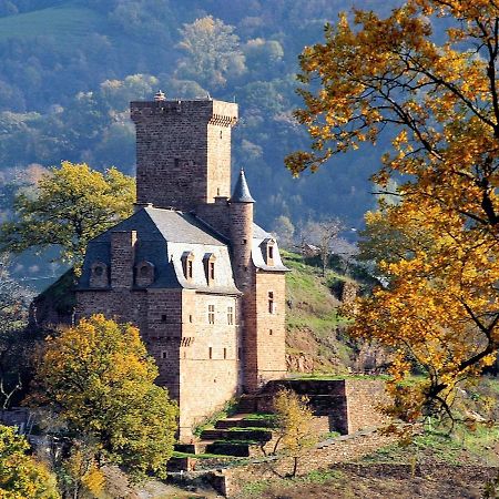CHATEAU LA SERVAYRIE - Chambre d'hôtes Marcillac-Vallon Exterior foto