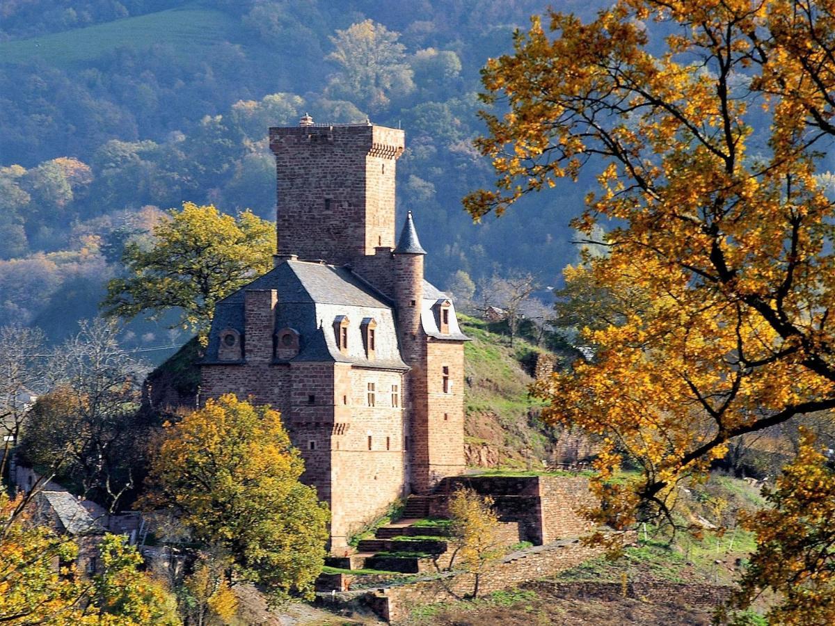 CHATEAU LA SERVAYRIE - Chambre d'hôtes Marcillac-Vallon Exterior foto